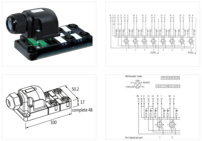 Murrelektronik EXACT12, 4XM12, 5-POLE, CAP, PLUG. SCREW-TERM 8000-84550-0000000 - detail