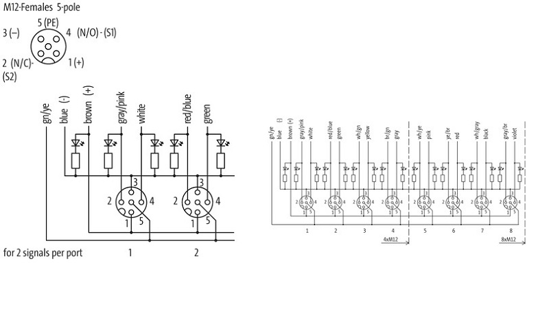 Murrelektronik Exact12, 8xM12, 5-pole, moulded cable 8099-88510-4521000 - sơ đồ mạch