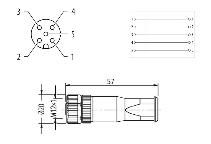 Đầu nối M12 cái, thẳng, A-cod,Murrelektronik 7000-12931-0000000 - DETAIL