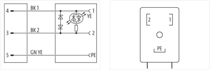 Cáp 2.5m có đầu nối M12 male A-code & van form BI của Murrelektronik MSUD 7000-40961-6360250 - body1