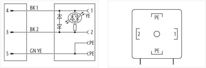 Cáp 2m có đầu nối  M12 male A-code & đầu nối van form A MSUD của Murrelektronik 7000-40881-6260200 - body1
