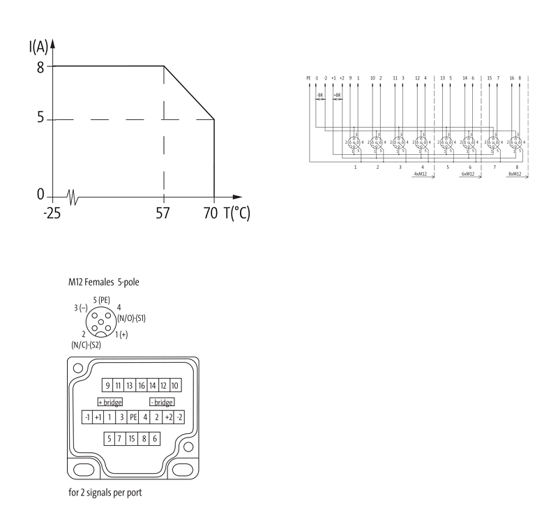 Bộ phân phối cáp phi tập trung 8 cổng M12 276596 - DETAIL