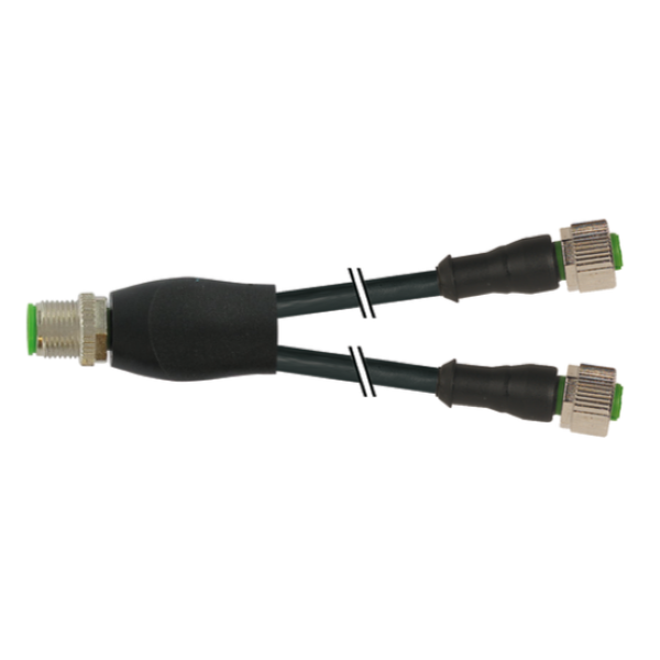 Đầu nối chữ Y M12 male - 2 x M12 female 0° A-code 7000-40701-6130060 - header
