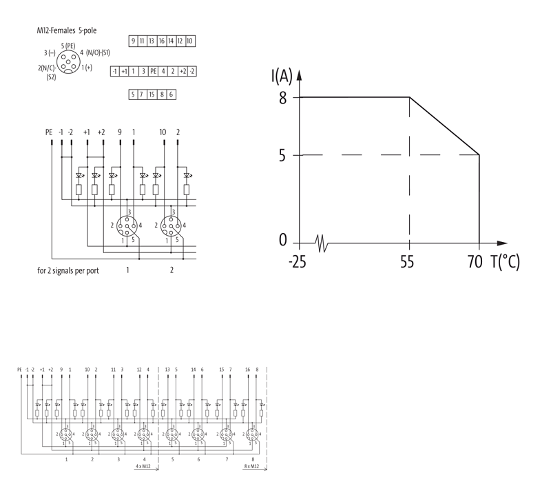 Bộ phân phối tín hiệu EXACT12 8XM12 5 cực không cáp homerun 8000-88500-0000000 - DETAIL