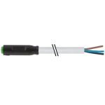 Đầu nối M8 female Murrelektronik 7000-08201-2101000 - header