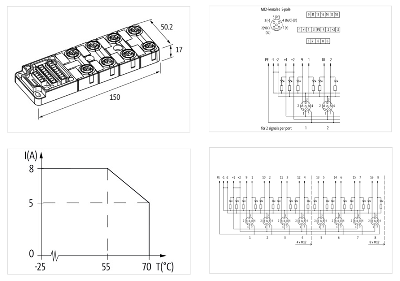 Bộ phân phối tín hiệu 8 cổng M12 không cáp homerun EXACT12 8000-88500-0000000 - DETAIL