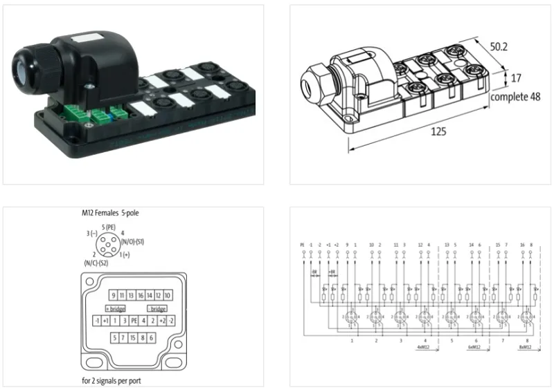 Bộ phân phối tín hiệu 6XM12 5 cực MVP12 27774 - detail