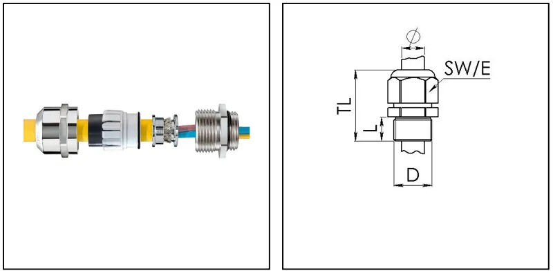 Cable gland chống cháy nổ EMC M20 10104838 - detail